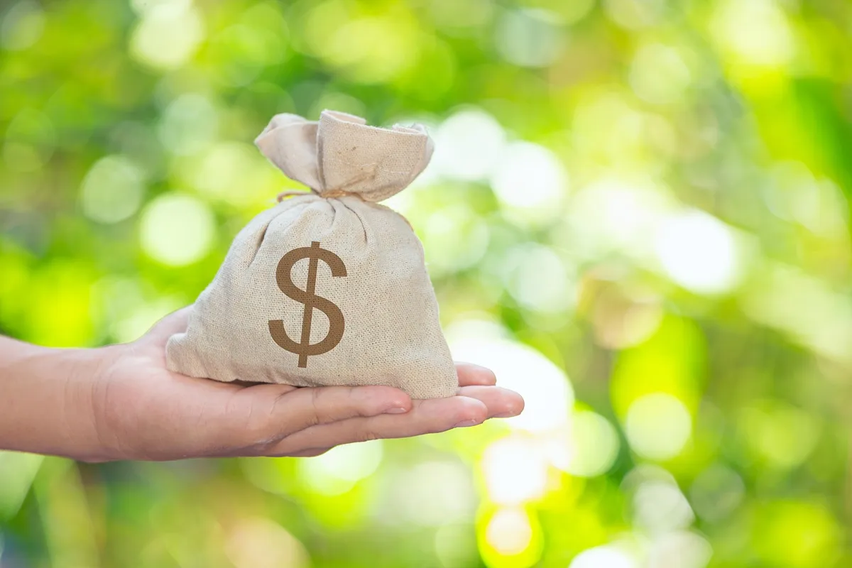 Sacola de dinheiro com o símbolo de dólar sendo segurada por uma mão, simbolizando finanças pessoais e fundo de reserva