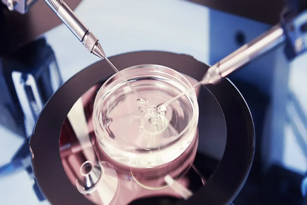 Imagem macro do processo de fertilização in vitro (FIV) mostrando duas micropipetas manipulando um óvulo e um espermatozoide em uma placa de Petri em laboratório.