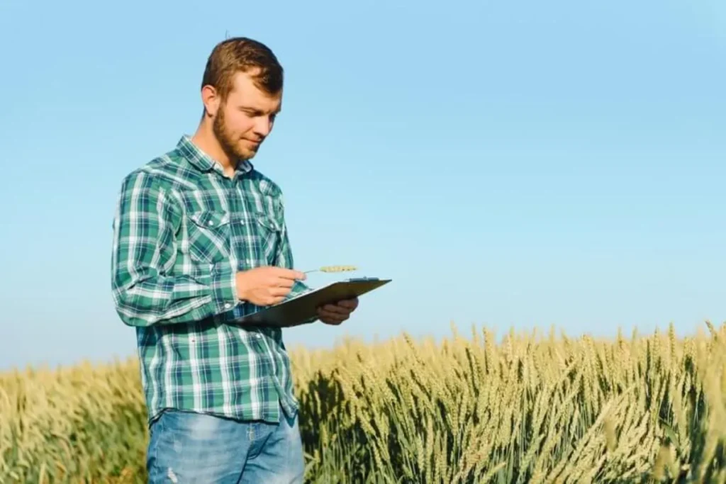 Jovem produtor rural ou agrônomo em pé em uma plantação de trigo, avaliando a colheita enquanto segura uma prancheta, representando a gestão legal e fiscal do imóvel rural necessária para a certidão negativa.